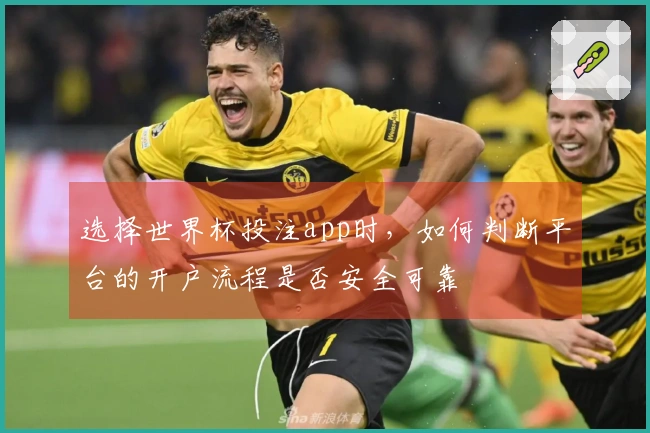 选择世界杯投注app时，如何判断平台的开户流程是否安全可靠